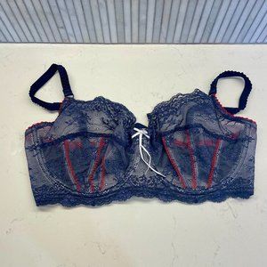 Heidi Klum Intimates Sofia‎ Underwire Bra in Navy with Red Trim, Size 36E /36DD